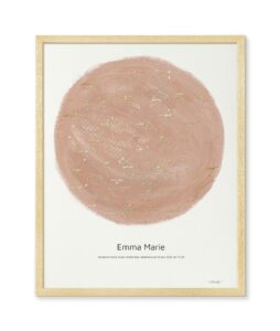 Poster MrStarsky x TERRA